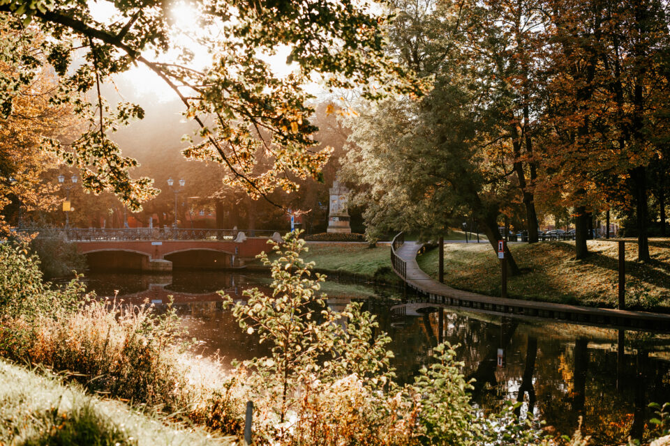 De Bredaase Singels baden in warm herfstlicht; gouden bladeren weerspiegelen in het rustige water terwijl fietsers en wandelaars genieten van de kleurrijke seizoenssfeer.