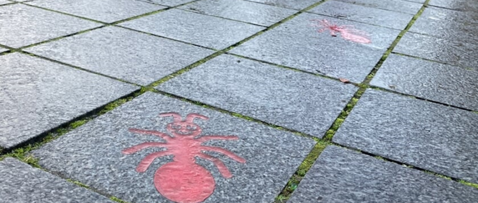 Rode Mieren Willemstraat Breda